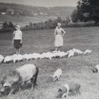 716 WhatsApp Image 2023-08-19 at 07.18.09 1836x1235